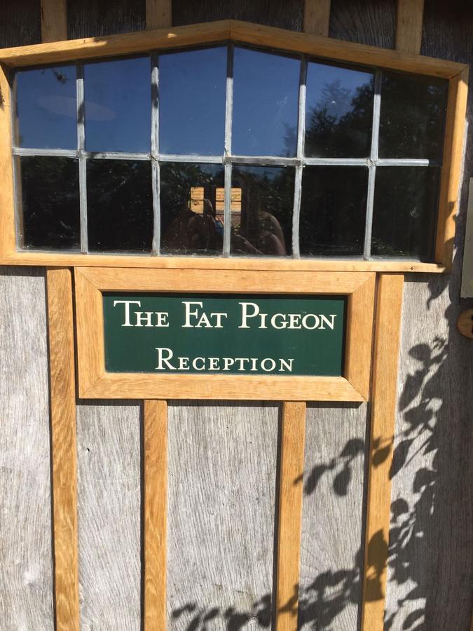 The Fat Pigeon Guest House Yeovil Ngoại thất bức ảnh